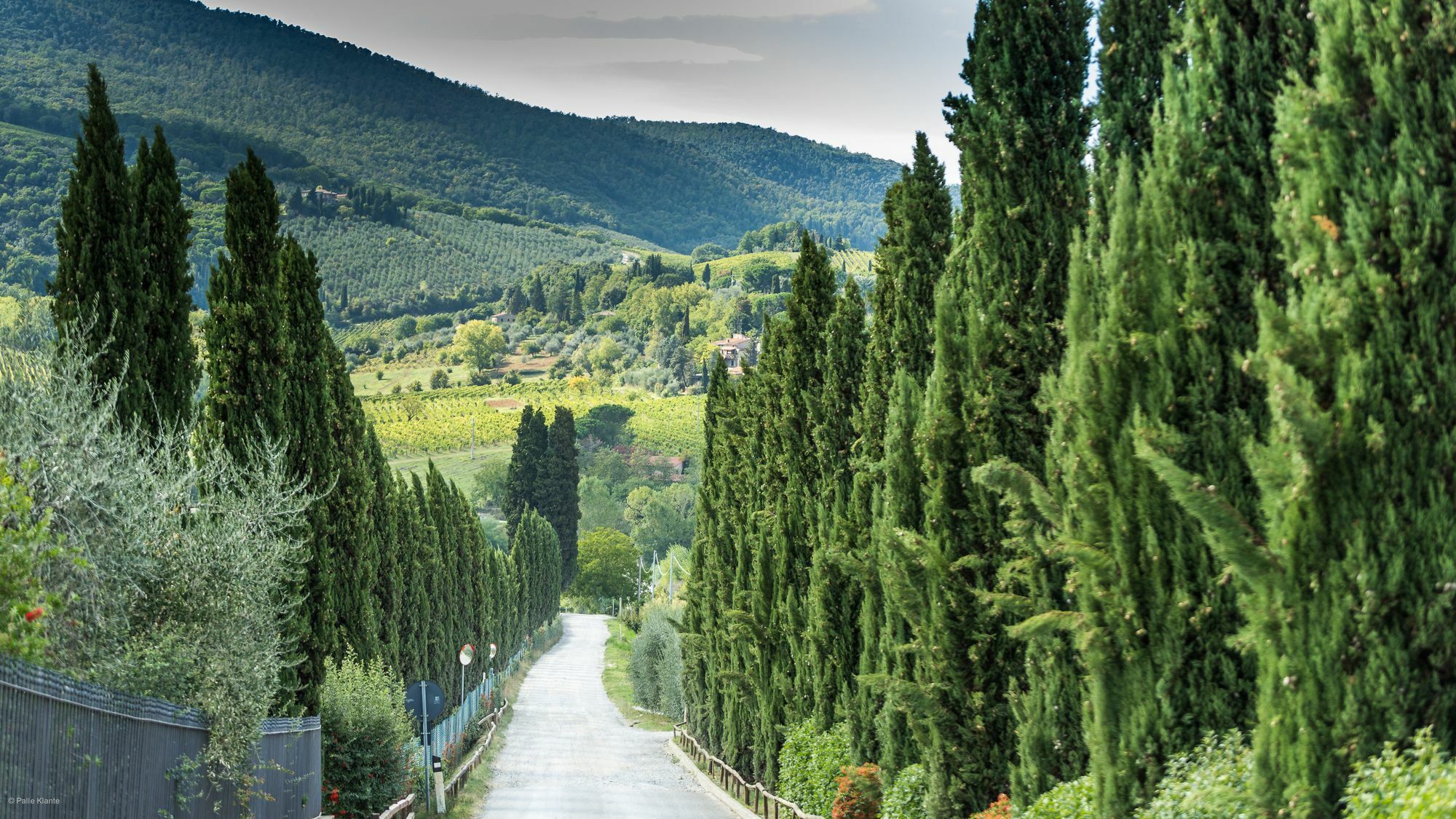 Agriturismo I Pini Сан-Джиминьяно Экстерьер фото